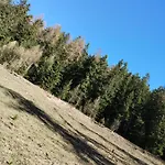 Casa Per Vacanze Degli Gnomi شقة *