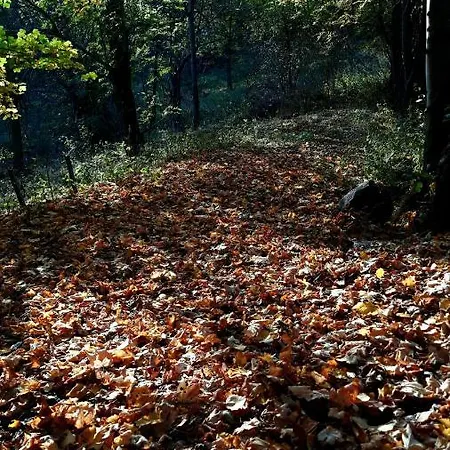 Casa Per Vacanze Degli Gnomi דירה Challancin