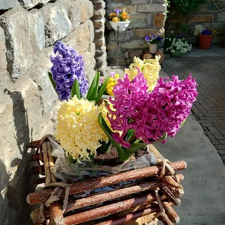 Appartement Casa Per Vacanze Degli Gnomi