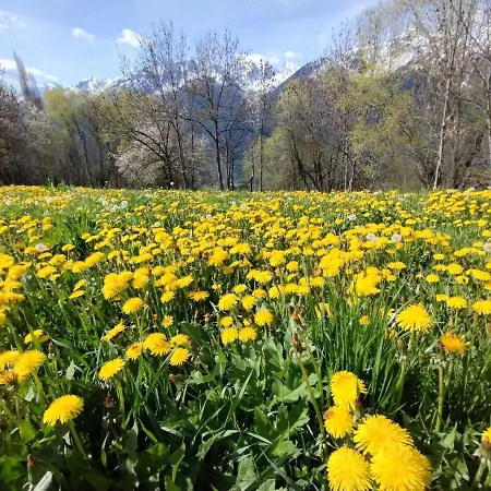 Casa Per Vacanze Degli Gnomi דירה *