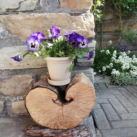 Appartement Casa Per Vacanze Degli Gnomi *