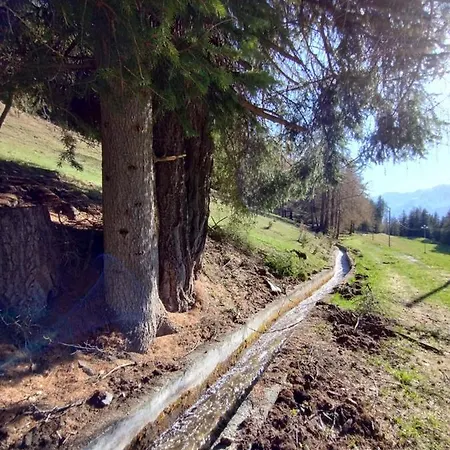 Casa Per Vacanze Degli Gnomi Appartement