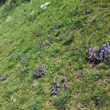 דירה Casa Per Vacanze Degli Gnomi