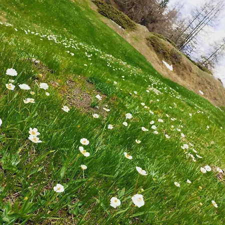 Casa Per Vacanze Degli Gnomi