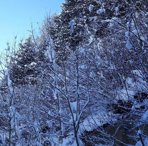 Casa Per Vacanze Degli Gnomi