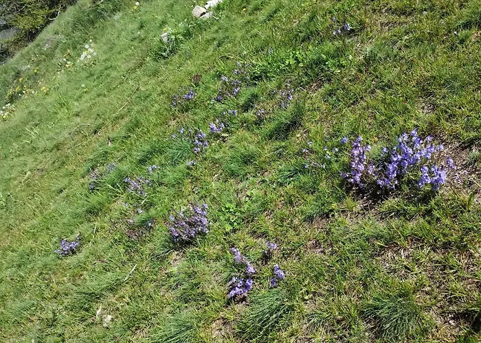 شقة Casa Per Vacanze Degli Gnomi